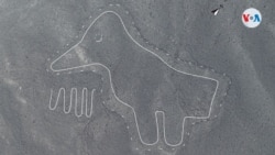 Así son las nuevas figuras que se descubrieron en la Pampa de Nazca