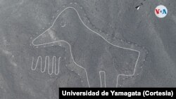 Los investigadores de la Universidad de Yamagata, en Japón, están convencidos de que hay más figuras sin descubrir en las Pampas de Nazca. [Foto: Cortesía Universidad de Yamagata]