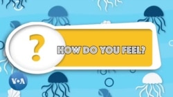 Apprenons l'anglais avec Anna, épisode 3: "How do you feel?"