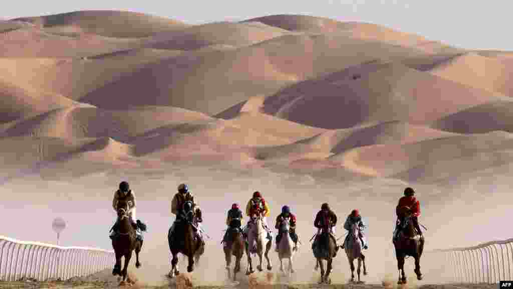Jockeys compete in a race for purebred Arabian horses at the Liwa International Festival 2023, some 250 kilometers west of Abu Dhabi, United Arab Emirates.