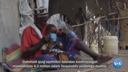 Iqlim: Keniyaga millionlab dollar yordam kerak