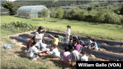 Students at Cheontae Elementary School learn agriculture skills, such as how to tend a garden, Sept. 20, 2022.