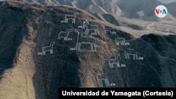 El equipo de arqueólogos japoneses encontraron figuras de animales, seres humanos y figuras geométricas principalmente. [Cortesía: Universidad de Yamagata]