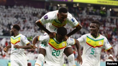 Senegal tem tudo para ir longe em Catar 2022 - Bodog