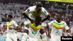 Senegal's Bamba Dieng celebrates scoring against Qatar with team mates Pape Matar Sarr and Idrissa Gana Gueye at the 2022 FIFA World Cup