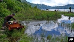 A man collects water from the Tamblingan lake in Buleleng Bali, Indonesia, Saturday, April 16, 2022. (AP Photo/Tatan Syuflana)