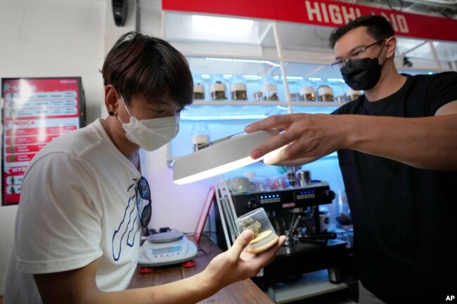 FILE - A customer views samples of marijuana before making a purchase at the Highland Cafe in Bangkok, Thailand, June 9, 2022.
