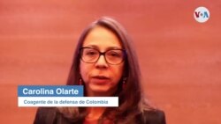 Carolina Olarte, coagente de la defensa colombiana