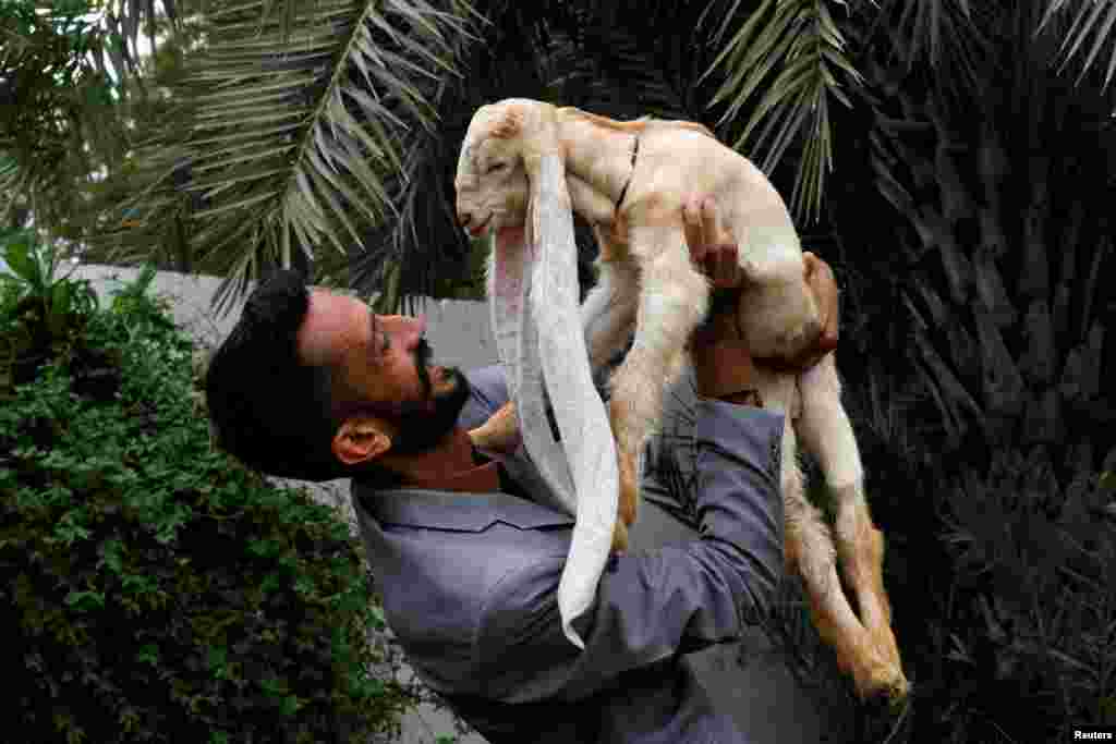 Simba, one month and four days old kid goat with 22-inch long ears, is held by his owner in Karachi, Pakistan, July 8, 2022.