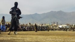 年終報導：阿富汗塔利班恢復伊斯蘭教法懲罰手段