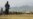 Afghan Taliban Announce New Round of Public Floggings