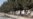 Islamic State Claims Responsibility for Kabul Attack