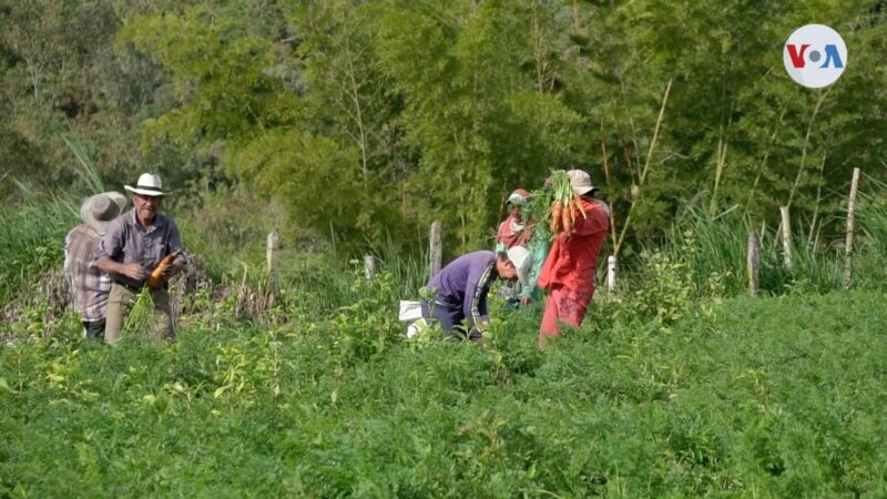 Gobierno de Colombia avanza en implementación de reforma agraria