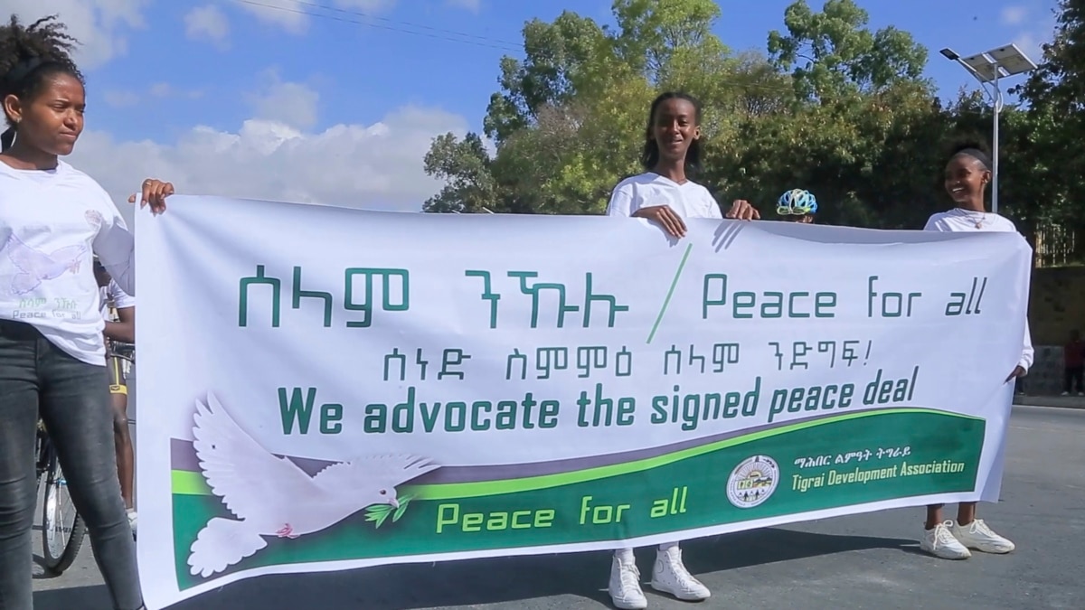 Tigray Peace Top 2023 Task