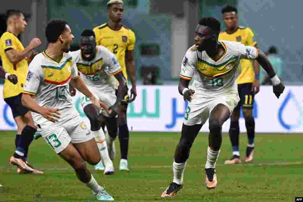 Attaquant ya Sénégal #18 Ismaila Sarr (D) azali kosepela nsima na kotia mongete ya yambo na match Equateur na na groupe A ya Mondial Qatar 2022 na stade Khalifa, Doha, 29 novembre 2022. (Photo OZAN KOSE / AFP)