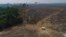 FILE - Cattle graze on land burned and deforested by cattle farmers near Novo Progresso, Para state, Brazil, Aug. 23, 2020.