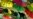 16x9 Image