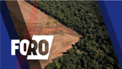 Foro: Deforestación del Amazonas ¿En punto de no retorno?