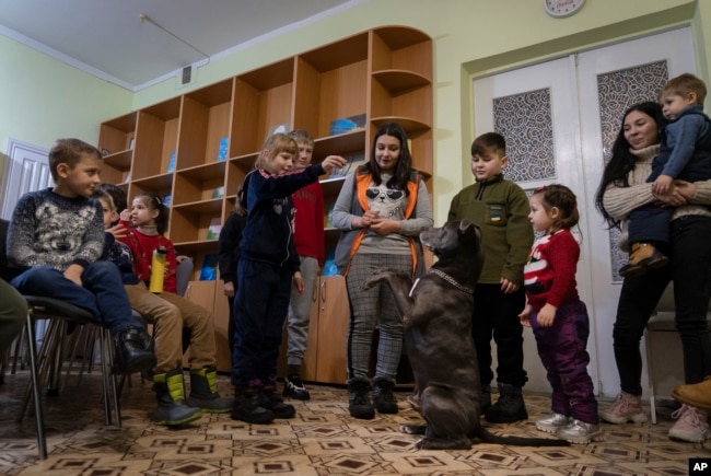 Children traumatized by the war play with an American Pit Bull Terrier "Bice" in the Center for Social and Psychological Rehabilitation in Boyarka close Kyiv, Ukraine, Wednesday, Dec. 7, 2022. (AP Photo/Vasilisa Stepanenko)