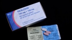 粵語新聞 晚上9-10點: 輝瑞透露新冠藥劑不被納入未來中國醫保的 原因背景