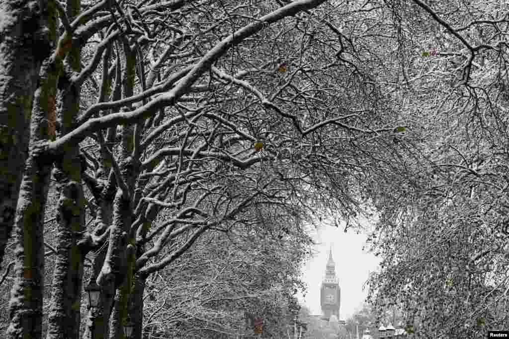 Trees are covered in snow in front of the Elizabeth Tower, more commonly known as Big Ben, in London.