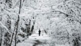 A man strolls his dog in an park in Sofia, Bulgaria, after a snowfall, Dec. 13, 2022.