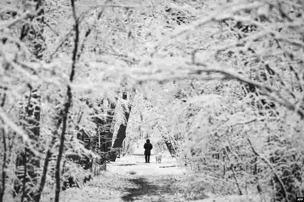 A man strolls his dog in an park in Sofia, Bulgaria, after a snowfall.