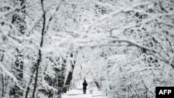 A man walks his dog in an park in Sofia, Bulgaria, after a snowfall.