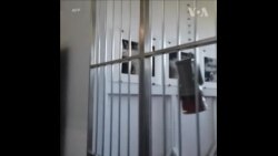 香港艺术家黄国才提醒台湾民众珍惜民主