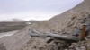 Batang berumur dua juta tahun dari pohon larch tersangkut di permafrost di dalam endapan pantai di Kap Kobenhavn, Greenland. (Svend Funder via AP)