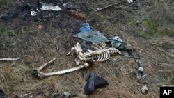 The remains of one of the Russian soldiers killed in battles and abandoned by the Russian troops in Sviatohirsk, Donetsk region, Ukraine, Dec. 21, 2022.
