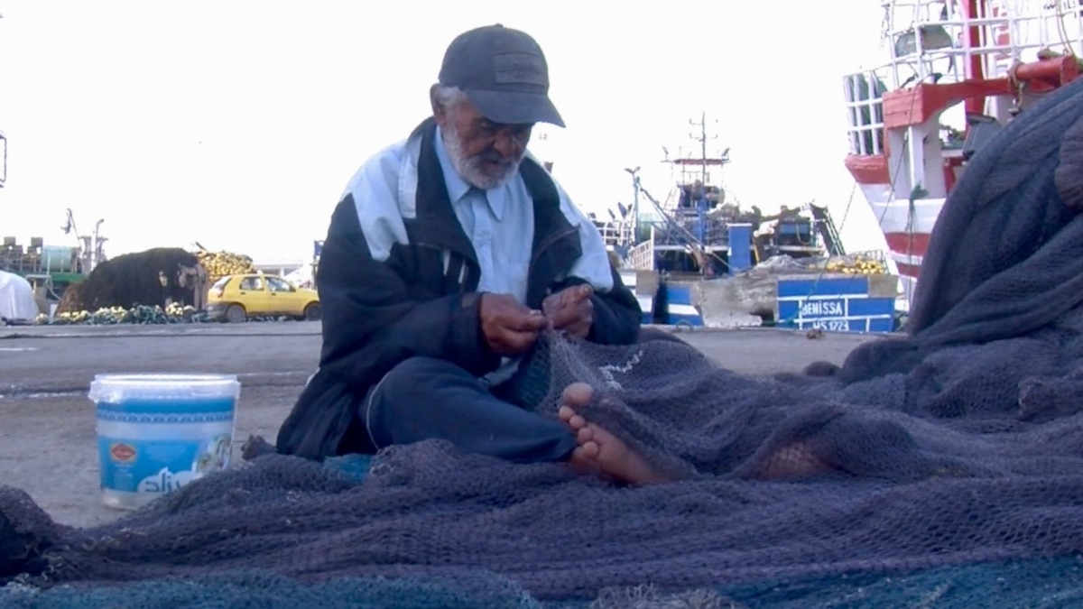 Molti di coloro che hanno lasciato la Tunisia come democrazia in dispiegamento, i fondatori dell’economia