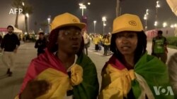 Bakumisi ya "Lions indomptables" ya Cameroun na Qatar basepeli kolonga Brésil ata balongwe