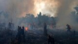 FILE - Fire brigade members work to put out fires in Apui, Amazonas state, Brazil, Sept. 21, 2022. Deforestation in the Brazilian Amazon slowed slightly last year, a year after a 15-year high, according to closely watched numbers published Nov. 30.