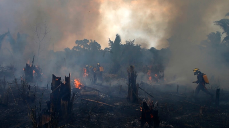 Amazon Deforestation in Brazil Remains Near 15-Year High