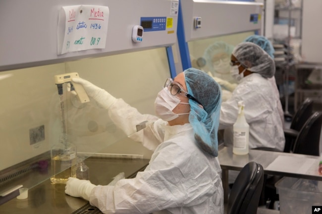 Technicians add cells to media that will be used to add cells to the organs growing in bioreactors in a Micromatrix laboratory on Tuesday, Dec. 8, 2022, in Eden Prairie, Minn. (AP Photo/Andy Clayton-King)