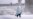 Much of US in Grip of Major Winter Storm