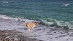 Իսպանիայի հարավային լողափերին անհամեմատ տաք ձմռան հետևանքով, մարդիկ արևային լոգանք են ընդունում_1.mp4