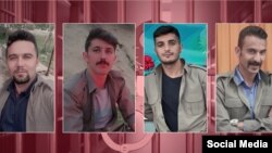پژمان فاتحی، محسن مظلوم، محمد فرامرزی و وفا آذربار - شبکه حقوق بشر کردستان