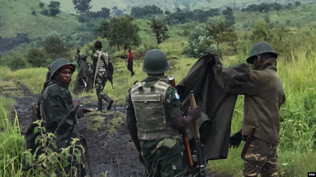 Abasirikare ba Kongo, FARDC 