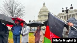 احتجاج کونکي افغانان هره ورځ د کانګرس د ودانۍ مخ ته جمع کيږي او غوښتنه کوي چې د دوی د حيثيت په اړه دې غوڅه پرېکړه وشي