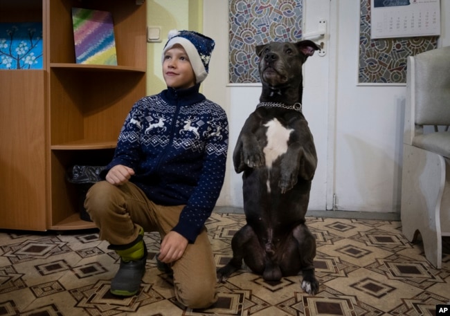 A boy poses for photo with an American Pit Bull Terrier "Bice" in the Center for Social and Psychological Rehabilitation in Boyarka close Kyiv, Ukraine, Wednesday, Dec. 7, 2022. (AP Photo/Vasilisa Stepanenko)