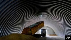 FILE - A dump track unloads grain in a granary in the village of Zghurivka, Ukraine, Aug. 9, 2022. A wartime agreement that allowed grain shipments from Ukraine to resume and helped temper global food prices.