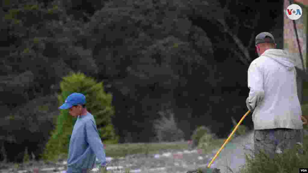 Freddy Bergman, de 49 años, revisa el cultivo de fresas que sembró en uno de los caseríos y que luego venden en ciudades cercanas a la Colonia Tovar, en Venezuela. Foto: Nicole Kolster, VOA.