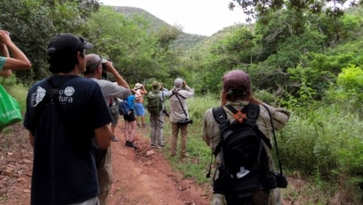 
Millions of Birds Could Bring Visitors to Eastern Mexico 
