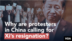 Why Are Protesters in China Calling for Xi’s Resignation?