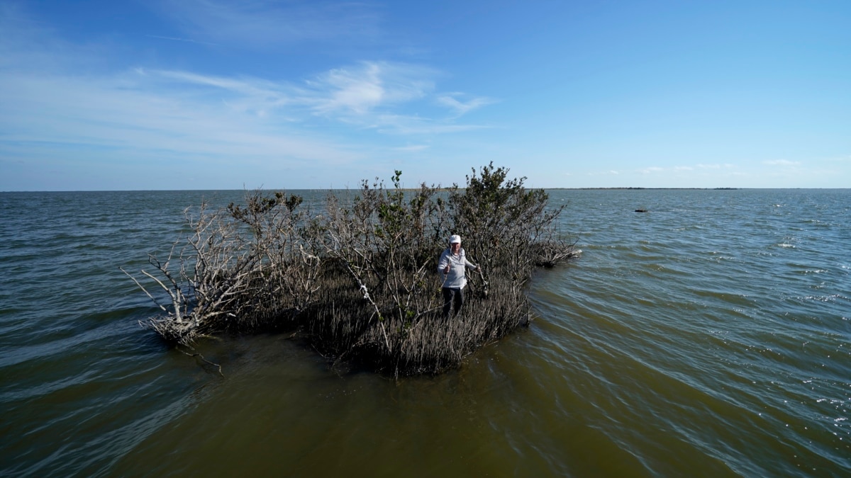Plan Advanced to Save Louisiana Wetlands
