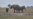 Botswana Communities Earn $5 Million Through Elephant Hunting