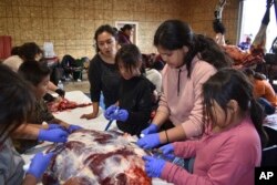 Children on the Rosebud Indian Reservation help process meat from a bison that was shot and butchered at the Wolakota Buffalo Range, Oct. 14, 2022, near Spring Creek, S.D. (AP Photo/Matthew Brown)