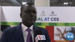 Senegalese IT State Agency Seeks Partnerships at CES
